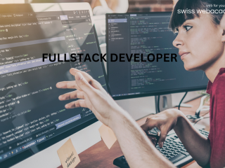 FULLSTACK DEVELOPER (Website)